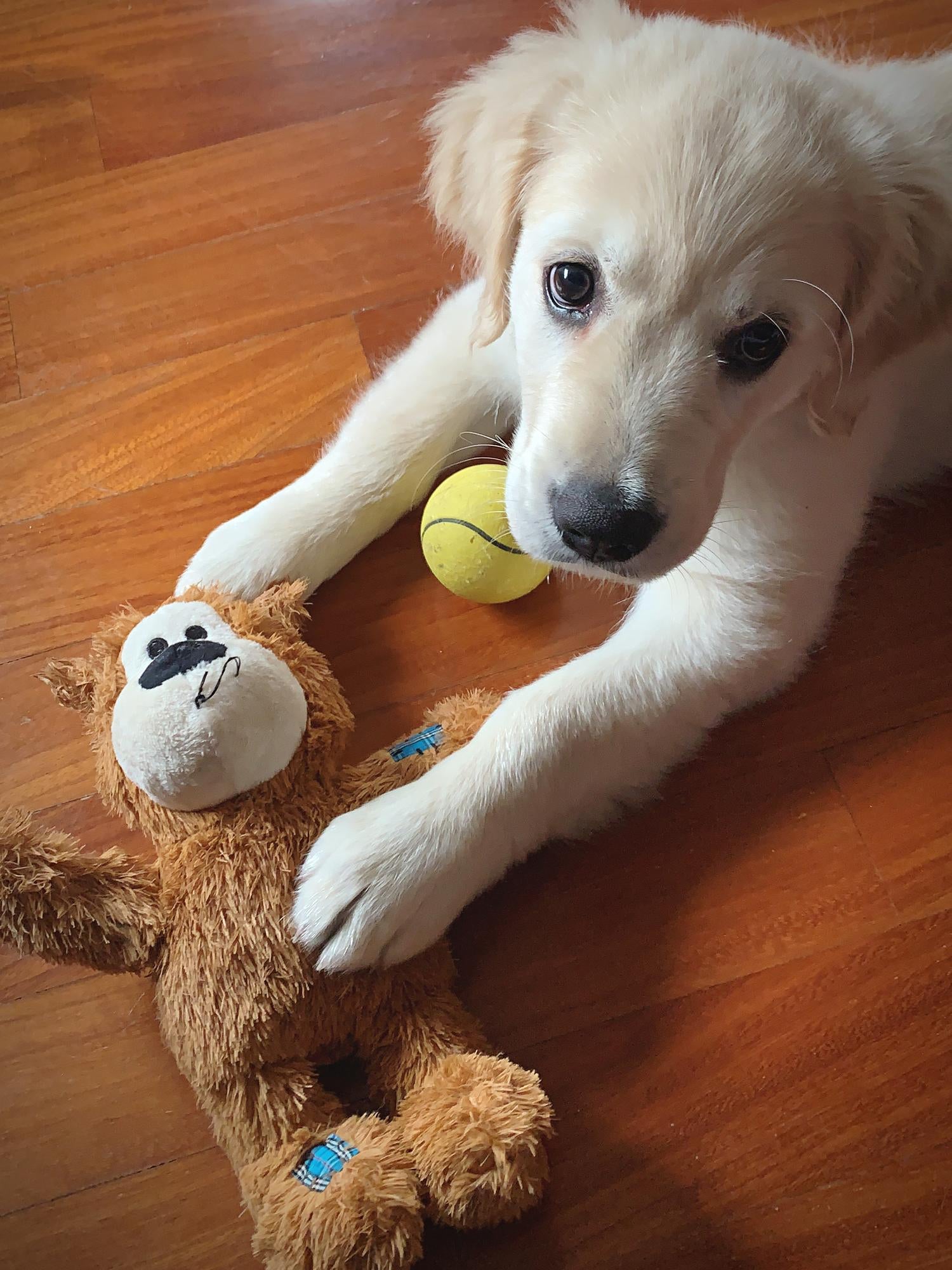 Toys